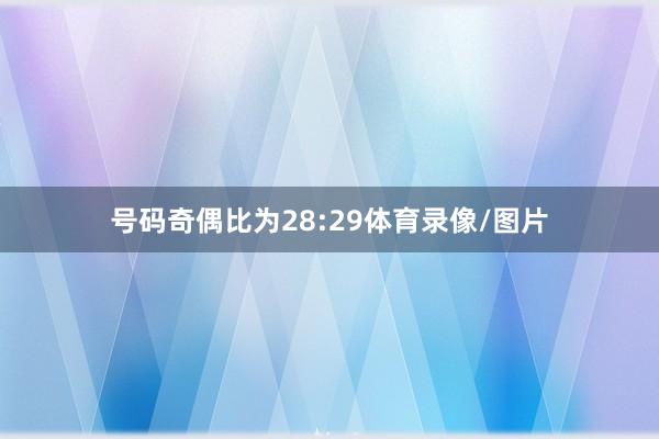 号码奇偶比为28:29体育录像/图片