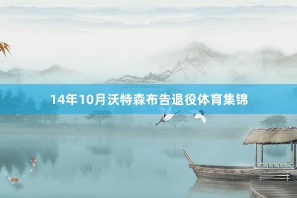 14年10月沃特森布告退役体育集锦