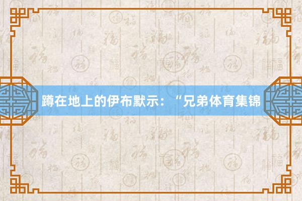 蹲在地上的伊布默示：“兄弟体育集锦