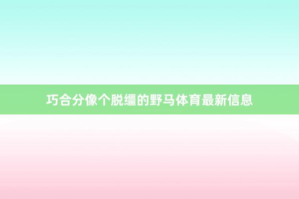 巧合分像个脱缰的野马体育最新信息